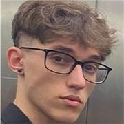 Profesor lengua Castellana Primaria y ESO, apto para todo